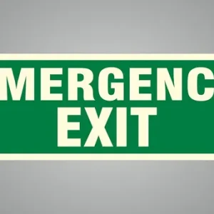 Green Emergency Exit Sign, Green And White, Glow-In-Dark, Commercial Grade For Hotel Home Restaurant Mall Hospital Bank Office
